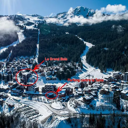 Daire Location La Tania : 2 Pieces, 4 Pers, Balcon, Proche Commerces Et Navettes - Fr-1-182a-22 Courchevel